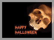 Halloween,czaszka
