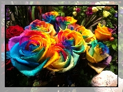 Kolorowe, Róże