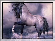 Koń, Woda, Chmury