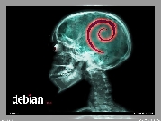 Linux Debian, ślimak, zawijas, muszla, grafika, rentgen, czaszka
