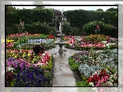 Kwiaty, Ogród, Fontanna