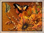 Jesienne, Kwiaty, Motyle