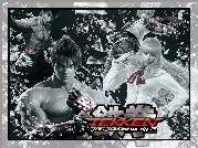 Tekken Tag Tournament 2, Jin Kazama, Lili, Marshal Law, Leo Kliesen