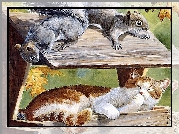Karmnik, Kot, Wiewiórki, Malarstwo