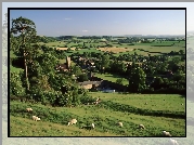 Anglia, Hrabstwo Somerset, Farmy i pola, Wieś