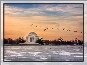Waszyngton, Pomnik, Thomas Jefferson, Ptaki