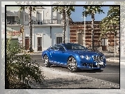 Niebieski, Bentley, Continental, GT Speed, Dom, Palmy
