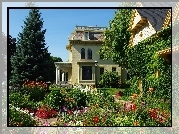 Dom, Ogród, Kwiaty, Lato