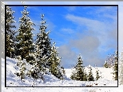 Rosja, Śnieg, Drzewa, Zima