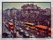 Serbia, Belgrad, Miasto, Samochody, Autobusy, Zima, Padający, Śnieg