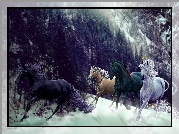 Konie, Śnieg, Góry, Drzewa