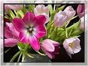 Różowe, Tulipany, Bukiet