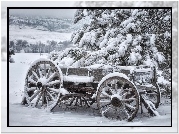 Wóz, Konny, Śnieg