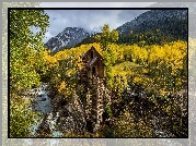 Stany Zjednoczone, Stan Kolorado, Młyn Crystal Mill, Las, Drzewa, Góry, Rzeka, Jesień