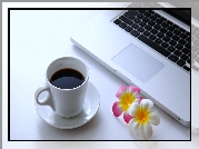 Kawa, Kwiat, Laptop