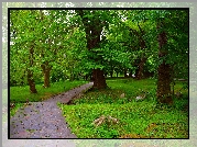 Park, Drzewa, Alejka, Latarnia