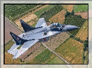 Samolot, Myśliwiec MiG-29A, Pola