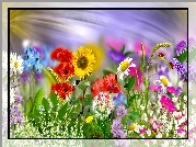 Kolorowe, Kwiaty, Biedronki, Grafika