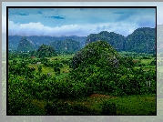 Kuba, Prowincja Pinar del Rio, Dolina Valle de Vinales, Wzgórza, Pasmo Sierra de los Organos