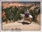 Koń, Kowboj, Kanion, Park Narodowy Bryce Canyon, Stan Utah, Stany Zjednoczone