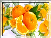 Pomarańcze, Grafika