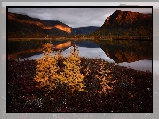 Jesień, Góry, Jezioro Jack London, Drzewka, Kołyma, Obwód magadański, Rosja