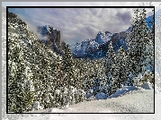 Dolina Yosemite Valley, Park Narodowy Yosemite, Stan Kalifornia, Stany Zjednoczone, Zima, Góry, Drzewa, Świerki