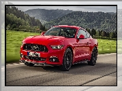 Czerwony, Ford Mustang, 2015