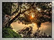 Rzeka, Promienie słońca, Drzewa