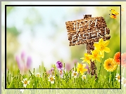 Wielkanoc, Napis, Happy Easter, Kwiaty, Krokusy, Żonkile, Gerbery, Motyl