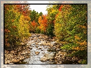 Stany Zjednoczone, Stan New Hampshire, Rzeka Pemigewasset River, Kamienie, Las, Jesień