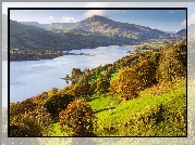 Wielka Brytania, Walia, Park Narodowy Snowdonia, Jezioro Bala Lake, Góry, Szczyt Aran Benllyn, Drzewa