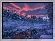 Zima, Drzewa, Las, Jezioro, Wschód słońca, Chmury, Gmina Ringerike, Norwegia
