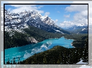 Park Narodowy Banff, Jezioro Peyto Lake, Gry, Las, Drzewa, Chmury, Prowincja Alberta, Kanada