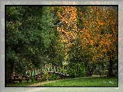 Park, Drzewa, Liście, Jesień, Mostek, Marysville, Stan Wiktoria, Australia