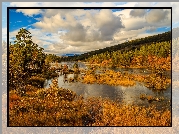 Jesień, Jezioro, Drzewa, Lasy, Park Narodowy Hardangervidda, Norwegia