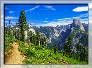 Góry, Sierra Nevada, Park Narodowy Yosemite, Ścieżka, Drzewa, Kalifornia, Stany Zjednoczone