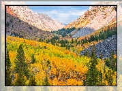 Góry, Drzewa, Lasy, Jesień, Wąwóz, Lundy Canyon, Kalifornia, Stany Zjednoczone