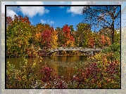 Jesień, Nowy Jork, Manhattan, Central Park, Drzewa, Jezioro, Most, Stany Zjednoczone