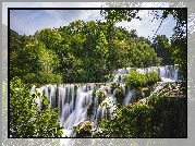 Wodospad, Skadinski, Drzewa, Las, Park Narodowy Krka, Chorwacja