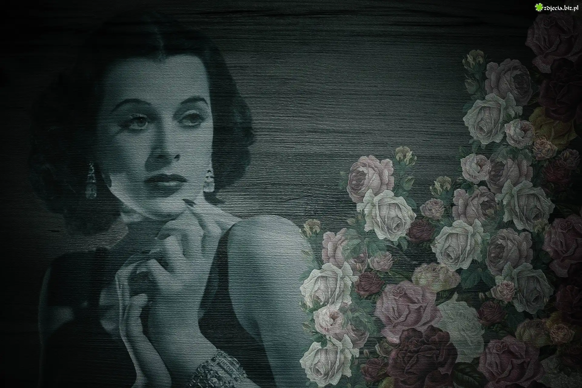 Kobieta, Aktorka, Hedy Lamarr, Kwiaty, Róże, Drewno, Grafika, 2D