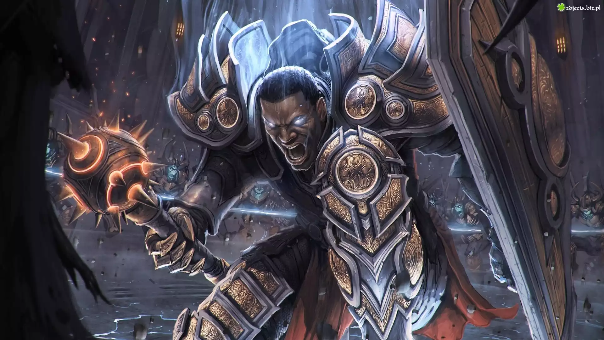 Diablo 3, Wojownik