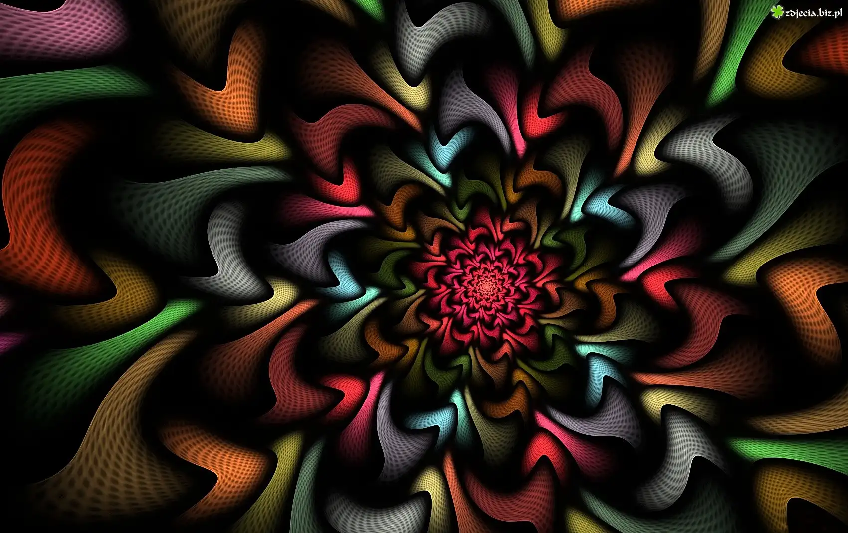 Kwiat, Abstrakcja, Grafika
