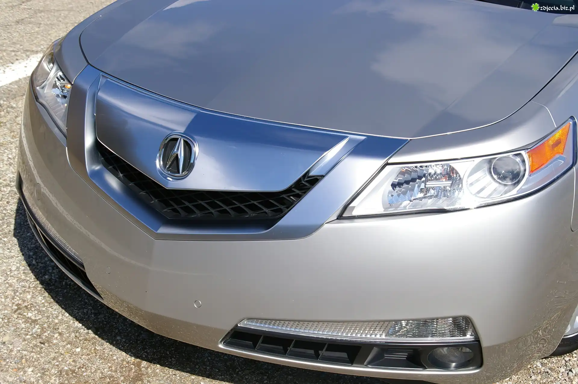 Acura TL, Atrapa, Maska