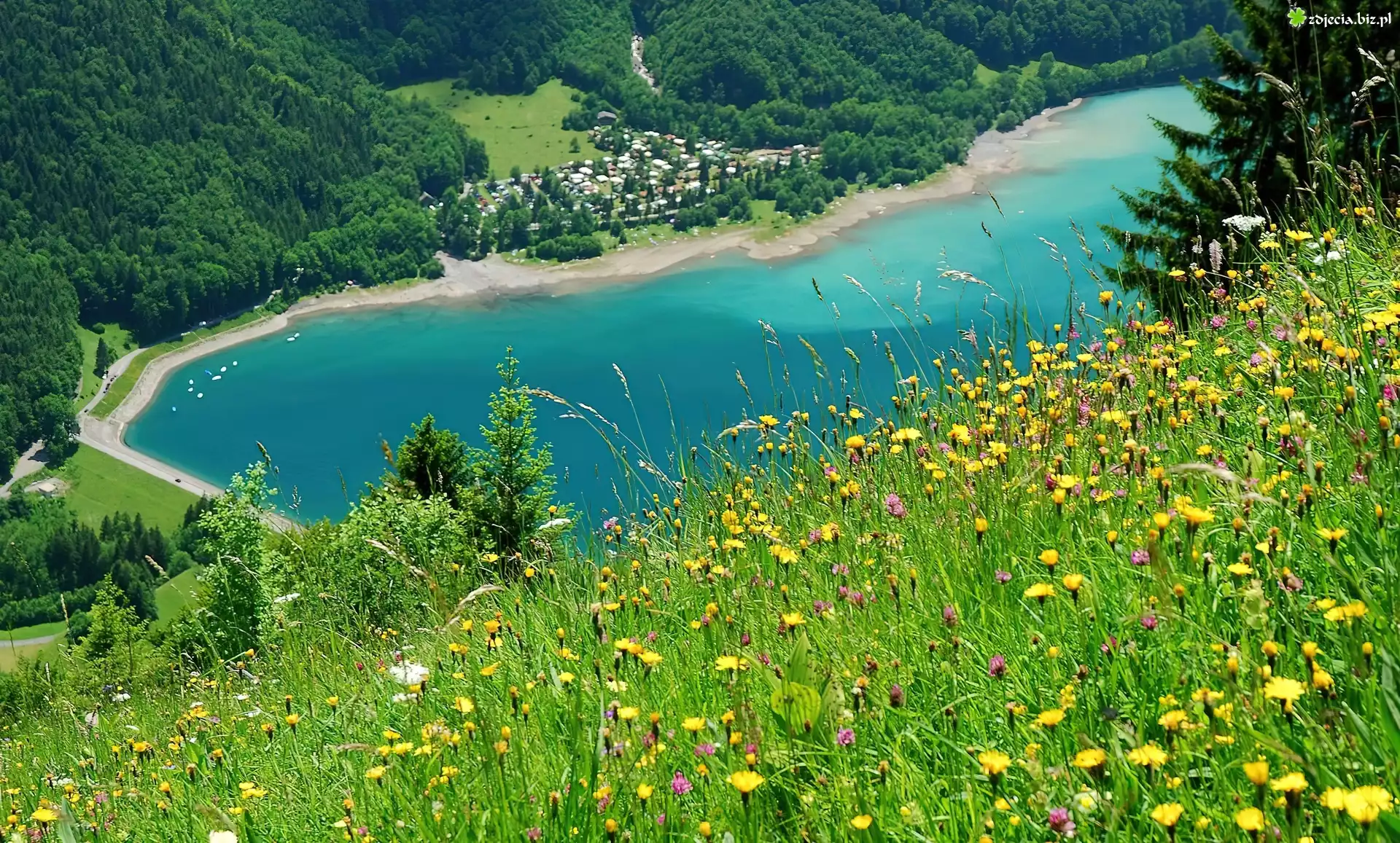 Łąka, Jezioro, Zalesione, Góry, Glarus, Szwajcaria