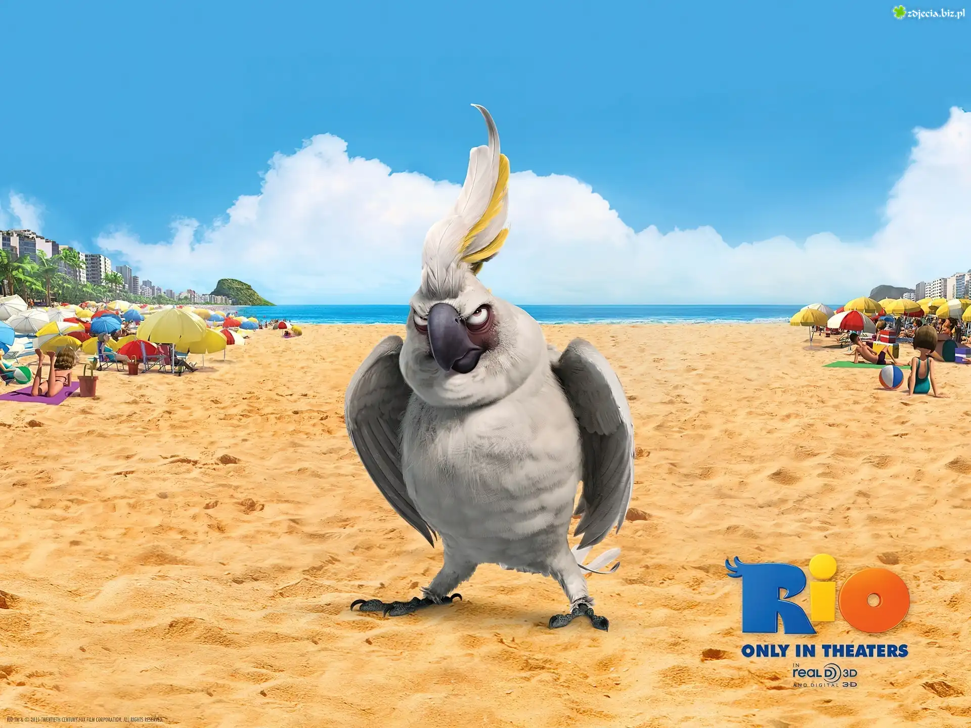 Film, Animowany, Rio