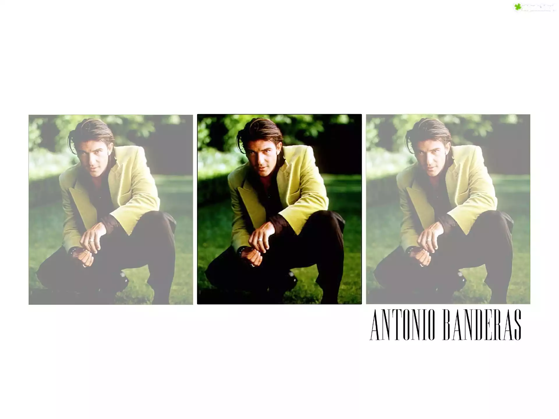 Antonio Banderas, zielona, marynarka