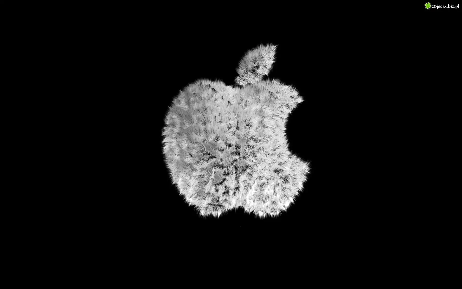 Apple, Logo