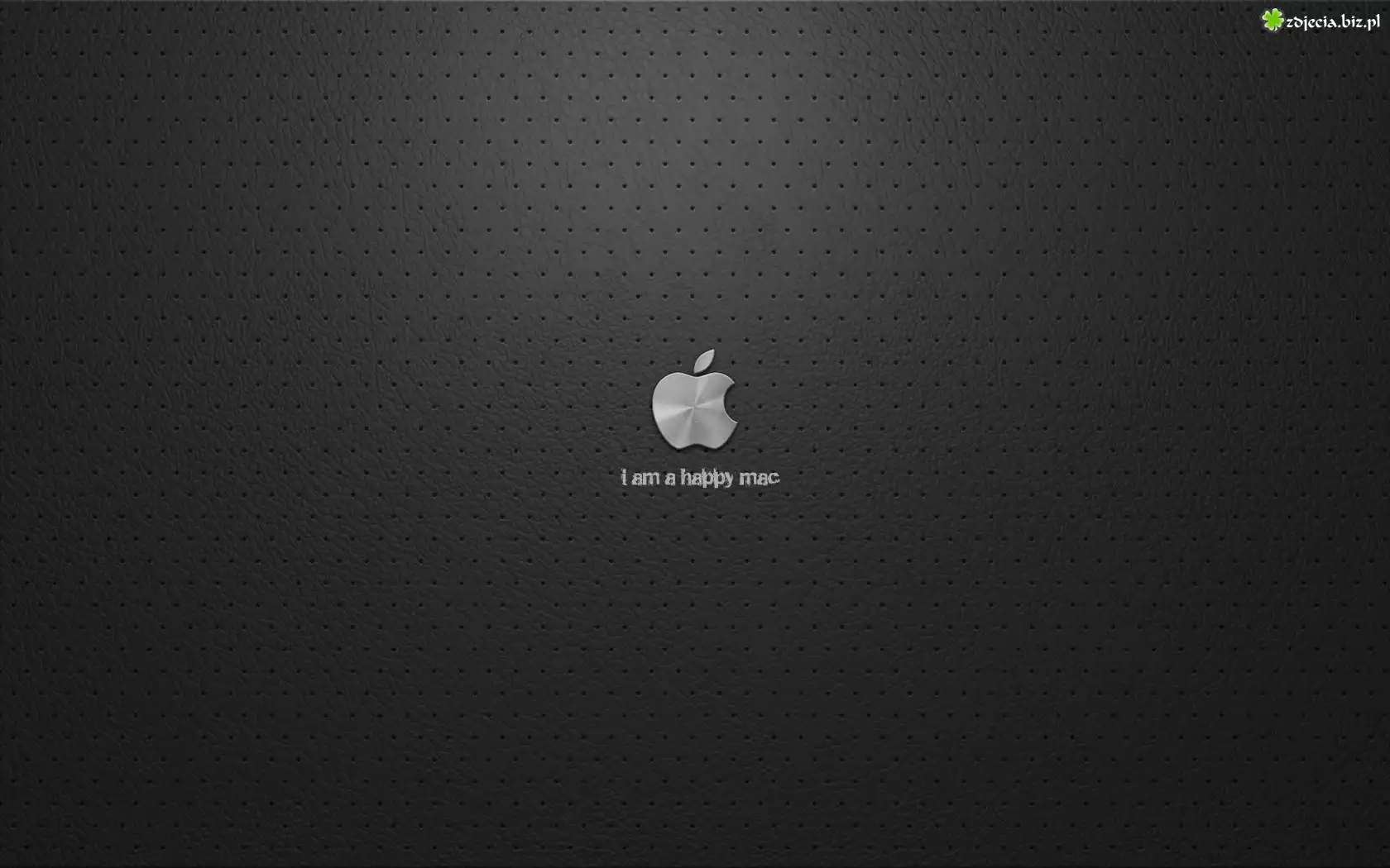 Apple, Skóra, Metalowe, Logo