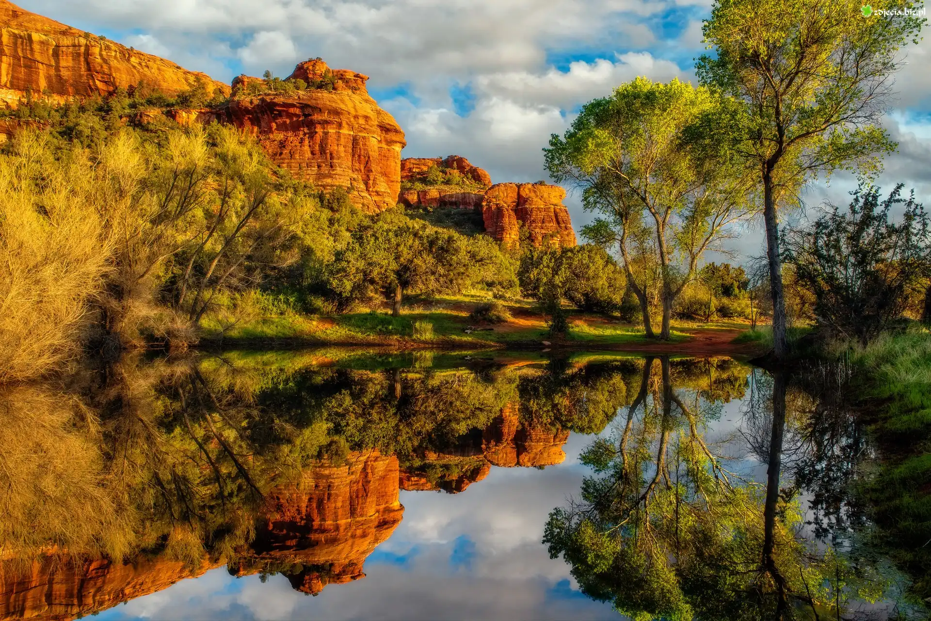 Cathedral Rock, Skały, Odbicie, Rzeka Oak Creek, Drzewa, Sedona, Arizona, Stany Zjednoczone